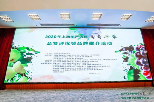 滬上佳果競芳華 地產(chǎn)葡萄蜜梨評(píng)優(yōu)活動(dòng)圓滿落幕